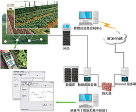浙江省慈鎮特色農業的推動者 智慧農業種植技術與聯網信息互動服務