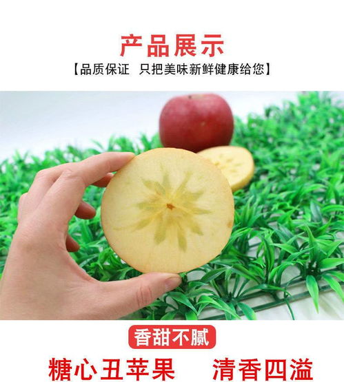 大涼山鹽源丑蘋(píng)果 自然孕育的冰糖心，脆甜多汁的應(yīng)季佳品